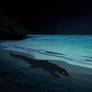 Monitoring What You Sea