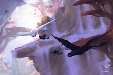 Flying Lessons