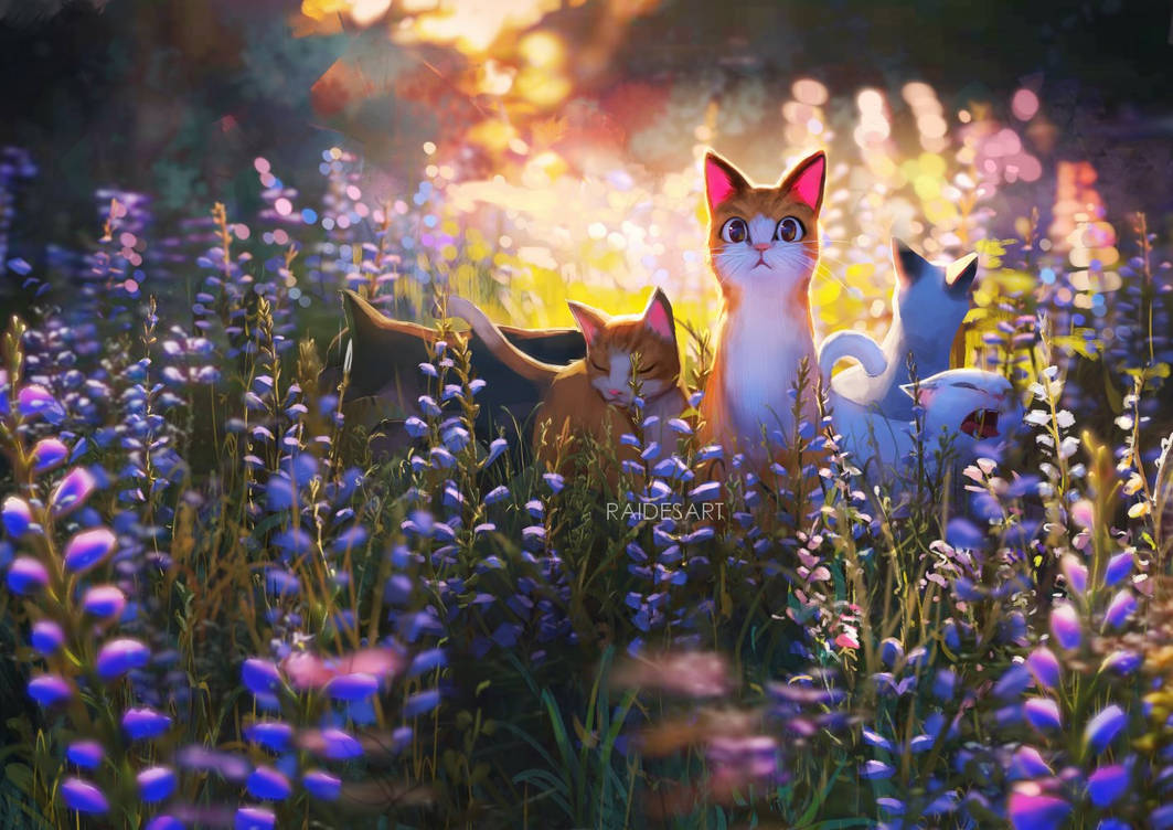 Cat Field by RaidesArt on DeviantArt