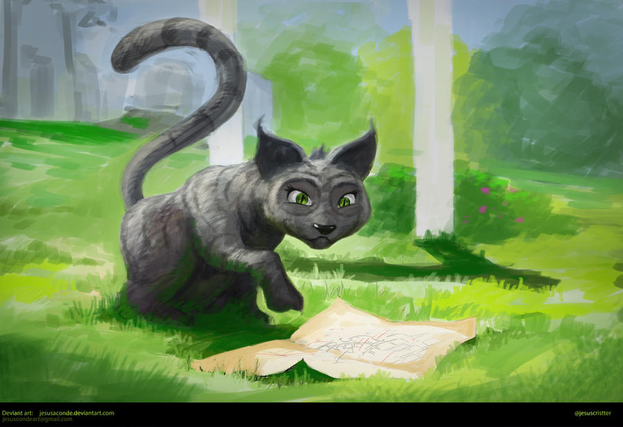 it cant be, cats don't read maps or signs