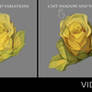 Painting a flower in photoshop step by step