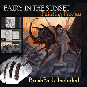 Fairy in the Sunset Package