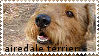 Airedale Terrier Stamp by Kitten-Kubb