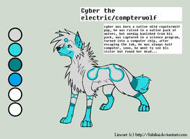 Cyber ref IMPROVED