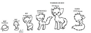 Warrio Cat Ageing lineart