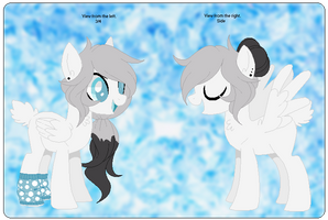 Official Reference Sheet: Crystal White