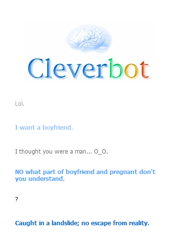 Clever bot wants a boy friend