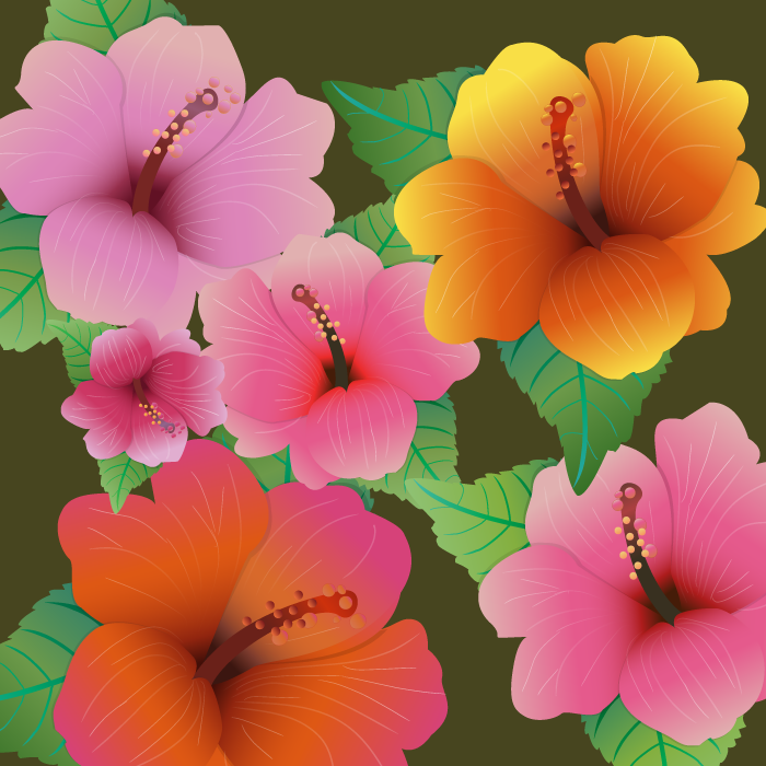 Hibiscus Flowers