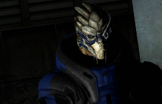 Garrus Vakarian stands there like a boss