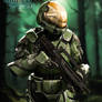 Halo: Ghosts of Onyx