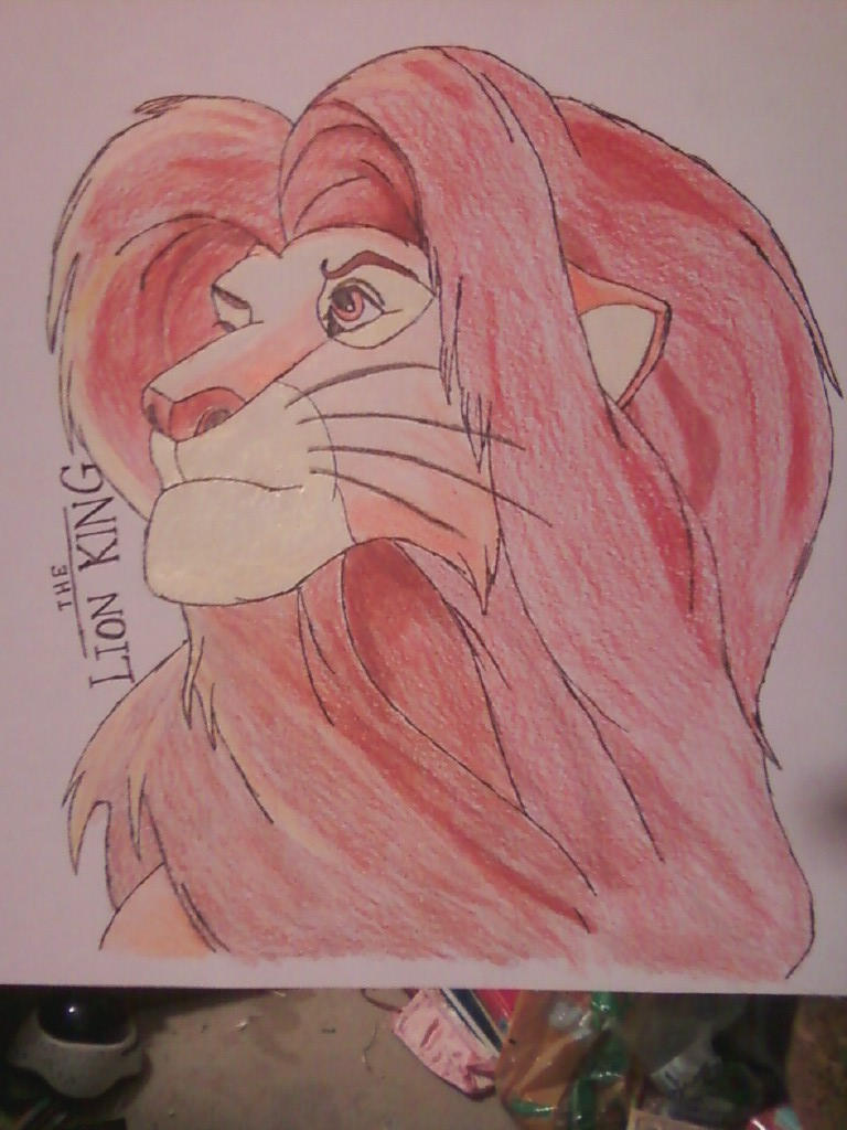 Lion King Simba -Finished-