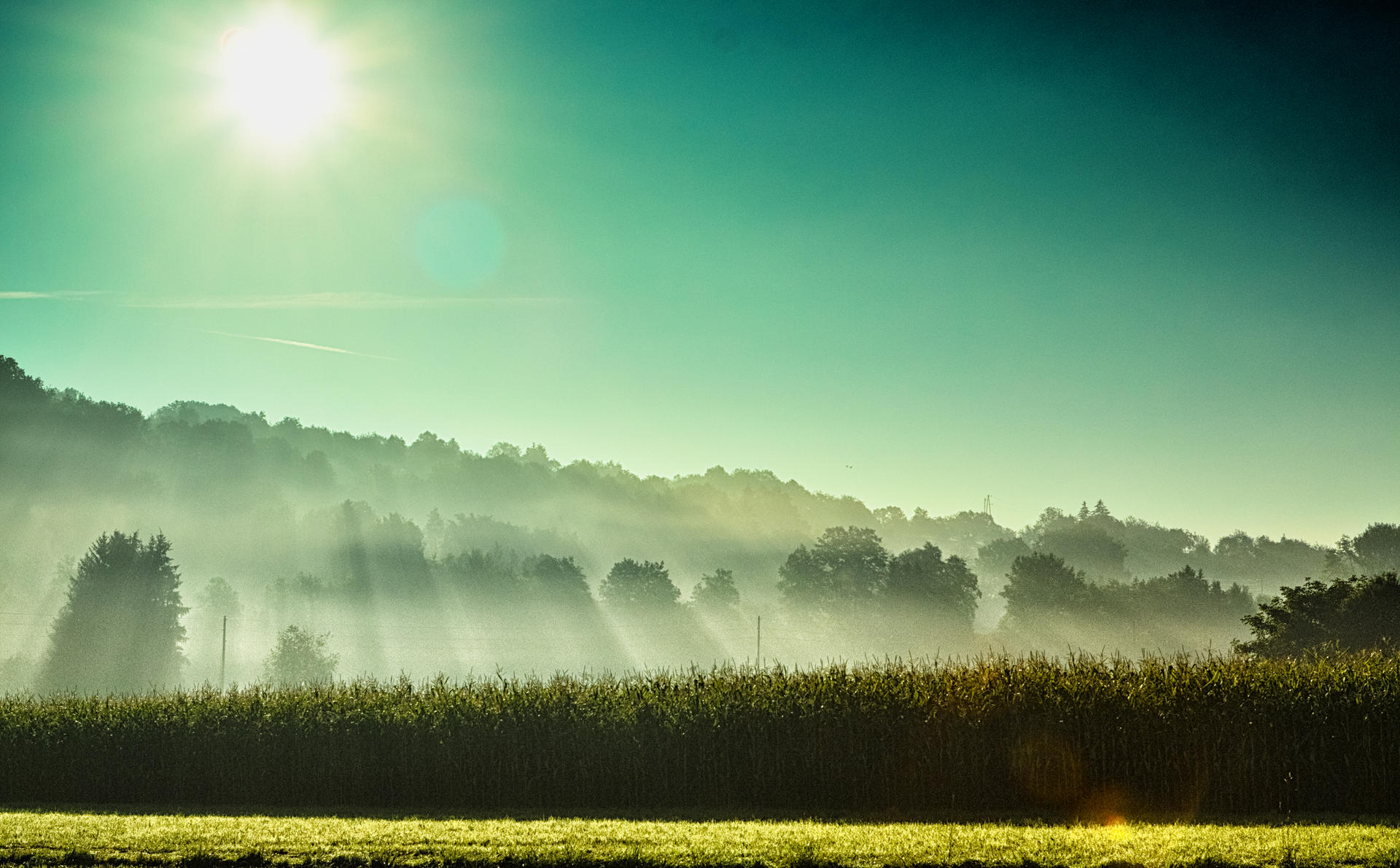 Bright Autumn Morning