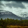 Somewhere on a dark day in Norway