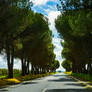 What driving through Portugal can look like