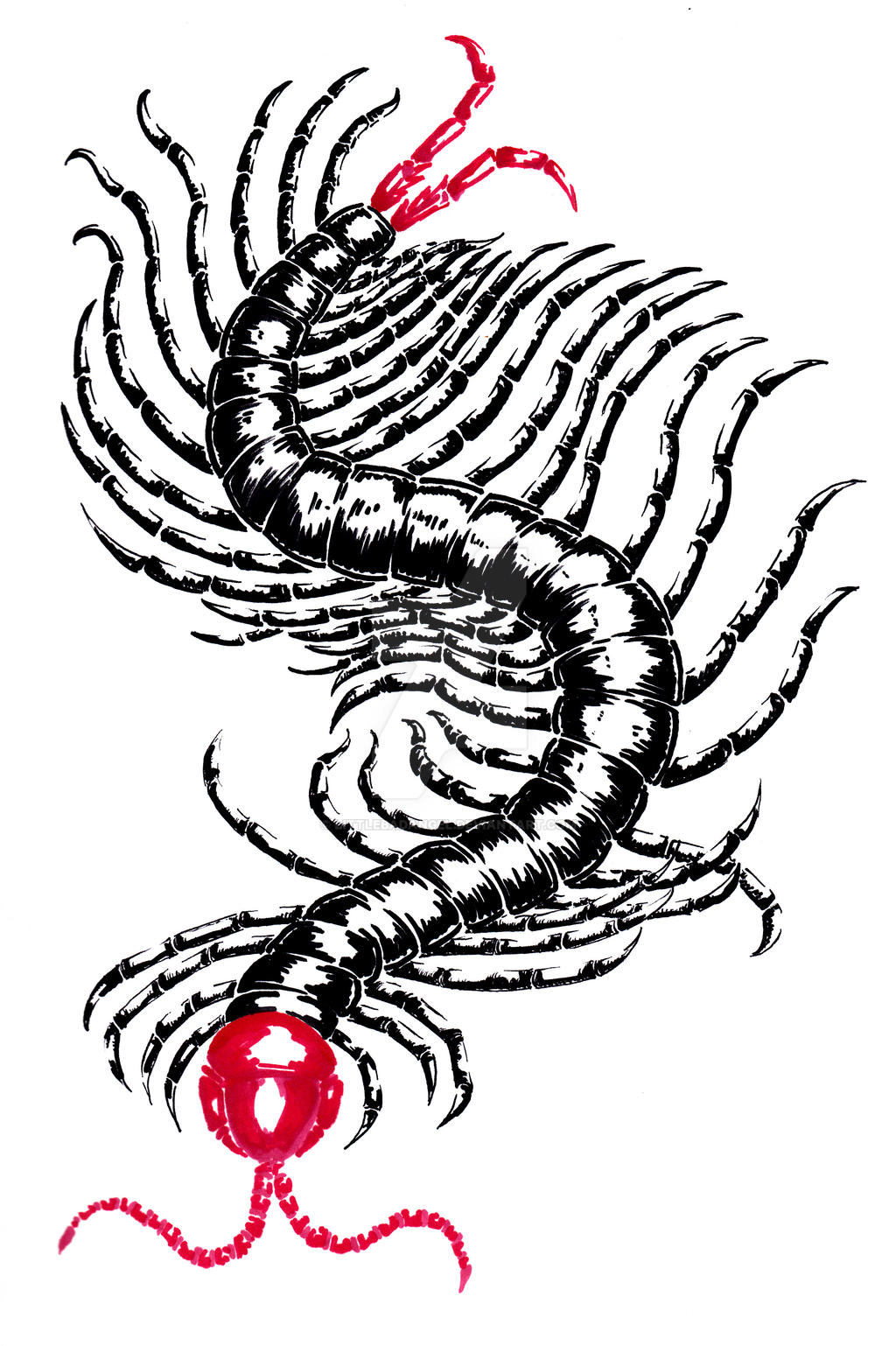 Сколопендра пирокинезис