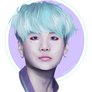 SUGA | lavender:mint