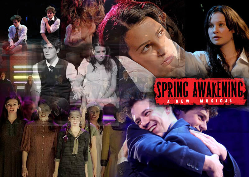 Spring Awakens Animation Spring Awakening Background by LadyTiggular on DeviantArt
