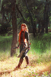 Tauriel - Daughter of the Forest