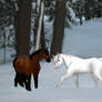 Romulus x Down Breed pic