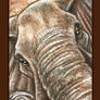 Tembo Bookmark