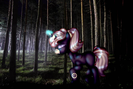 Pony in the dark forest ( treatment #1 )