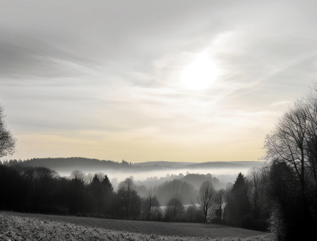 Cold Sun by Vledermuys on DeviantArt