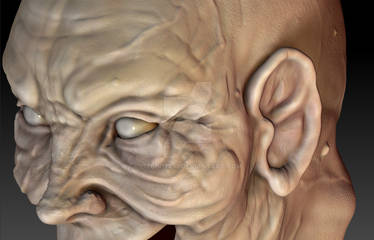 Zbrush Old Person