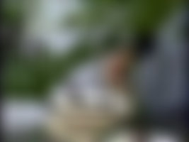 Sativa Behind the Scenes