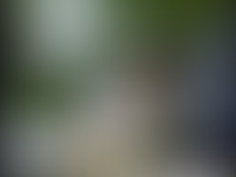 Sativa Behind the Scenes