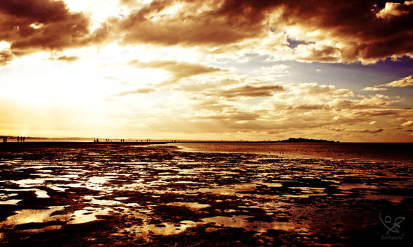 Golden Sandbar