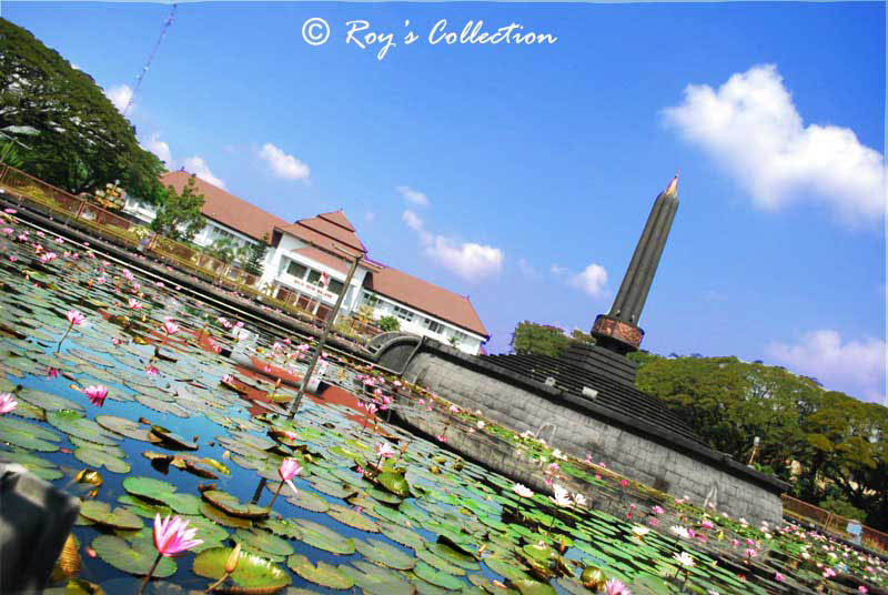 Water Lilies of Tugu Malang