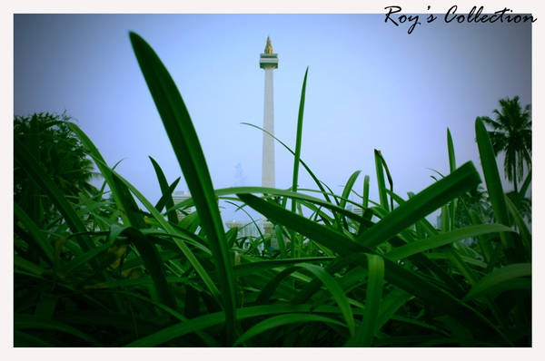 Hijau kan Indonesiaku.. by RoyWicaksono