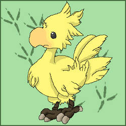 Cho-cho-chocobo