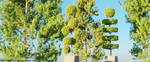 Vert