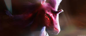 Tempest Shadow