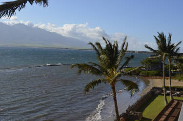 Hawaiian Seaside