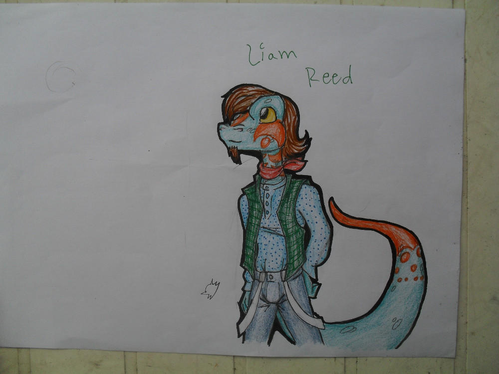 Liam Reed by kumabachi on DeviantArt