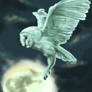 Ghostly Owl