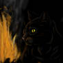 Magic Black Cat