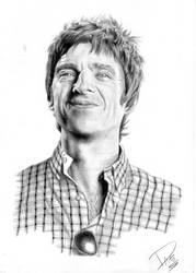 Noel Gallagher (20 x 30 cm. - Pencil)