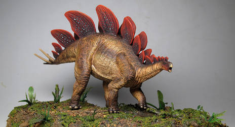 Repainted Stegosaurus Male 4