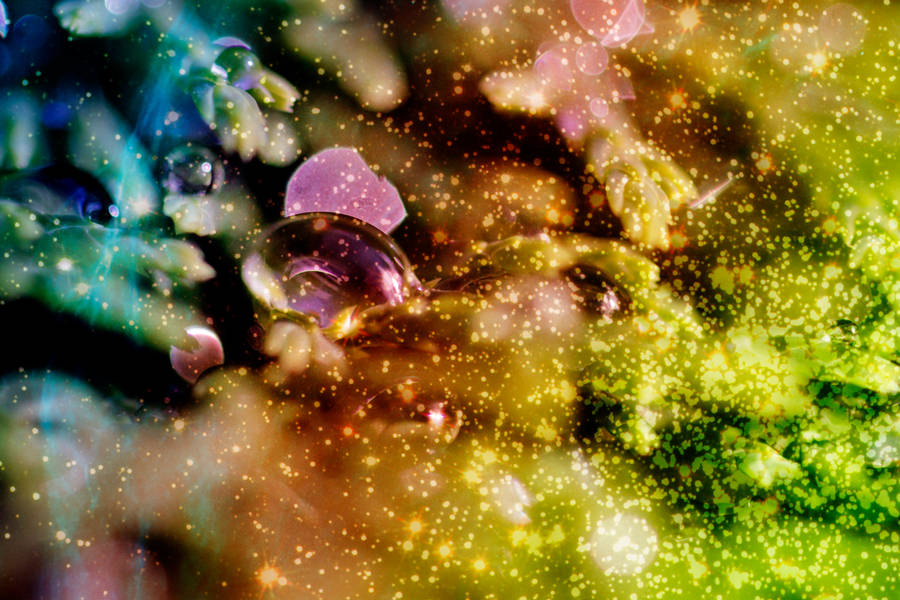 sushibird.com - space bubblegum by sushibird