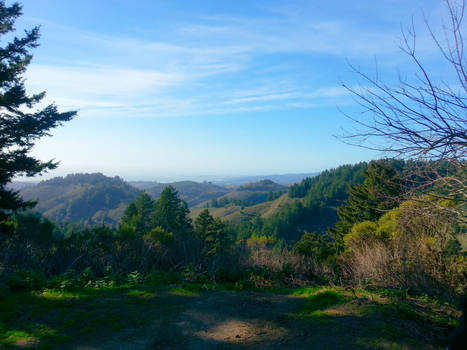 Ridges Along Half Moon Bay