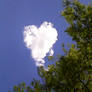 Heart Cloud