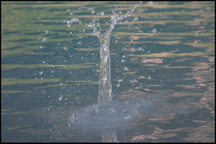Splash by silentdreams26 on DeviantArt