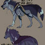 CANINE AUCTION: CLOSED