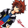 Kingdom Hearts- Sora