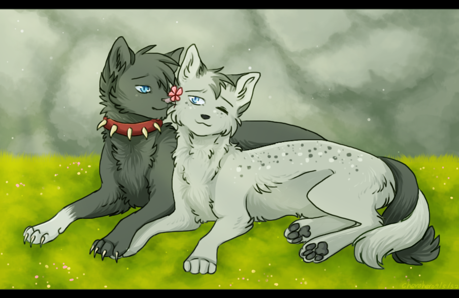 Scourge X Ashfur Redraw