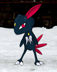 Sneasel