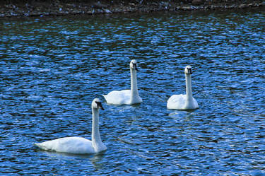 Three's a Crowd